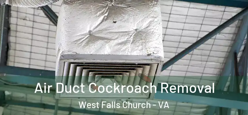 Air Duct Cockroach Removal West Falls Church - VA