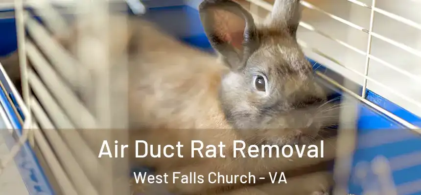 Air Duct Rat Removal West Falls Church - VA