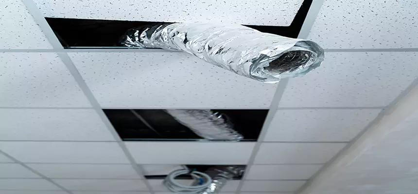 Our Air Duct Pet Hair Removal Services in West Falls Church, VA