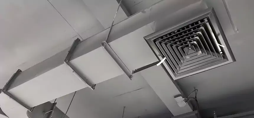 Restorative Allergy Relief Vent Cleaning – Coil, Blower & Housing Detail in West Falls Church