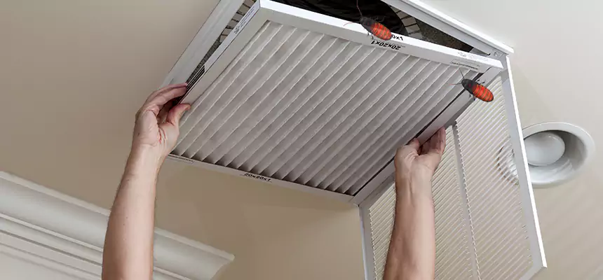 Our Insect Removal from Air Ducts Services in West Falls Church, VA