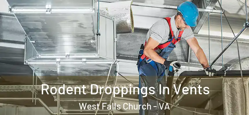 Rodent Droppings In Vents West Falls Church - VA