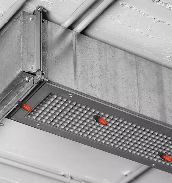 Affordable Insect Removal from Air Ducts in West Falls Church, VA