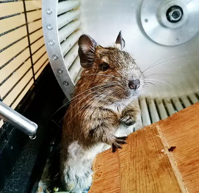 Why Homeowners & Businesses Trust Us West Falls Church, VA?